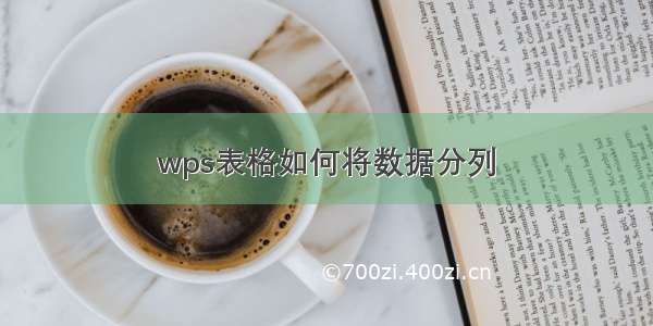 wps表格如何将数据分列