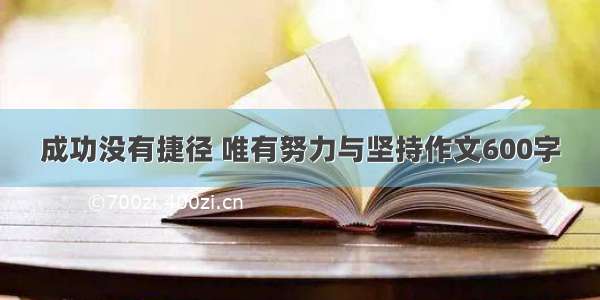 成功没有捷径 唯有努力与坚持作文600字