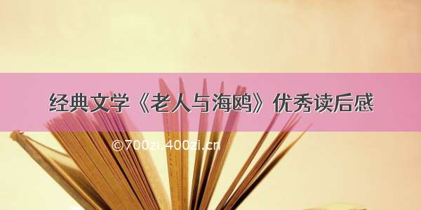 经典文学《老人与海鸥》优秀读后感