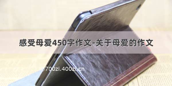 感受母爱450字作文-关于母爱的作文