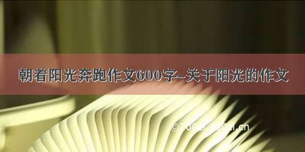 朝着阳光奔跑作文600字-关于阳光的作文