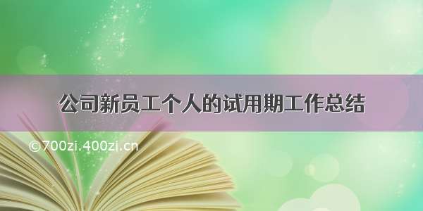 公司新员工个人的试用期工作总结