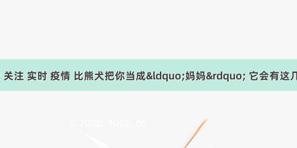 刷新 翻看 我 关注 实时 疫情 比熊犬把你当成“妈妈” 它会有这几个表现 你都