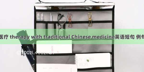 中医医疗 therapy with traditional Chinese medicine英语短句 例句大全