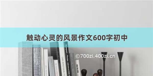 触动心灵的风景作文600字初中