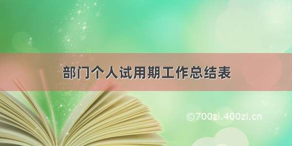 部门个人试用期工作总结表