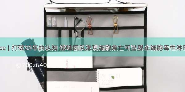 Science | 打破30年的认知 邵峰团队发现细胞焦亡可出现在细胞毒性淋巴细胞