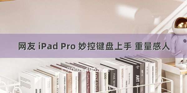 网友 iPad Pro 妙控键盘上手 重量感人