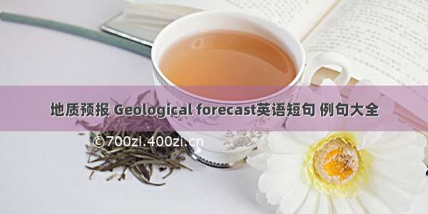 地质预报 Geological forecast英语短句 例句大全