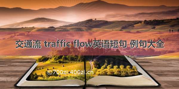 交通流 traffic flow英语短句 例句大全