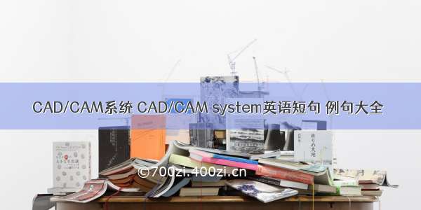 CAD/CAM系统 CAD/CAM system英语短句 例句大全