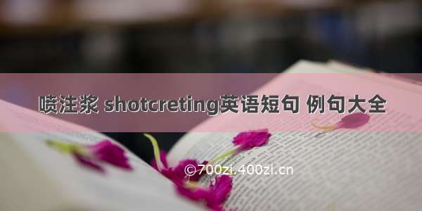 喷注浆 shotcreting英语短句 例句大全