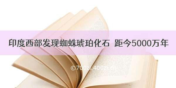 印度西部发现蜘蛛琥珀化石  距今5000万年