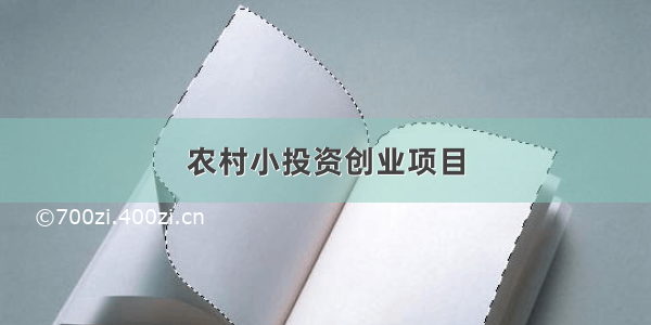 农村小投资创业项目