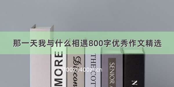 那一天我与什么相遇800字优秀作文精选