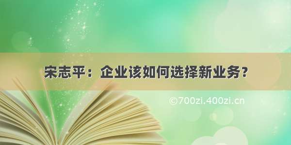 宋志平：企业该如何选择新业务？