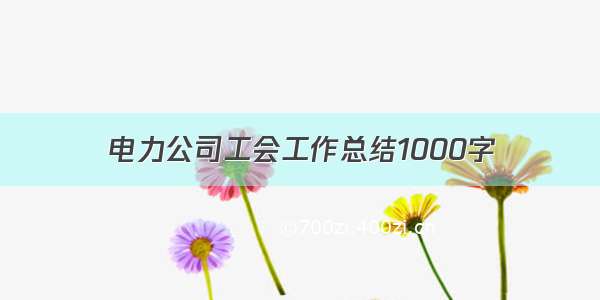 电力公司工会工作总结1000字