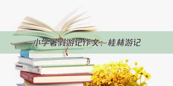 小学暑假游记作文：桂林游记