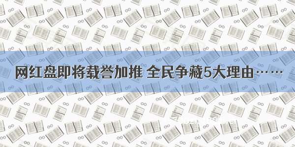 网红盘即将载誉加推 全民争藏5大理由……