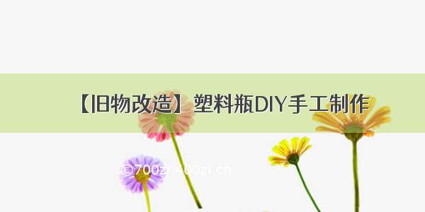 【旧物改造】塑料瓶DIY手工制作