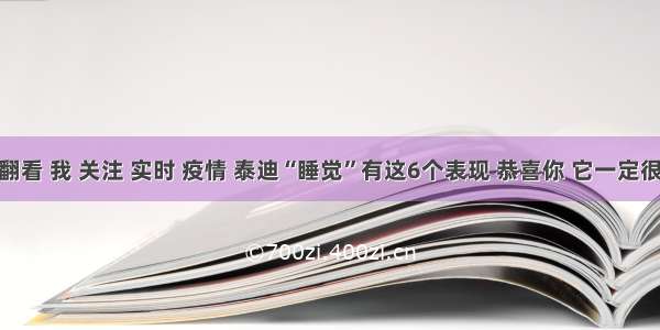 刷新 翻看 我 关注 实时 疫情 泰迪“睡觉”有这6个表现 恭喜你 它一定很爱你!