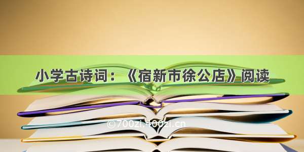 小学古诗词：《宿新市徐公店》阅读