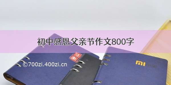 初中感恩父亲节作文800字