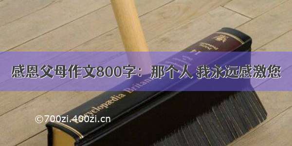 感恩父母作文800字：那个人 我永远感激您