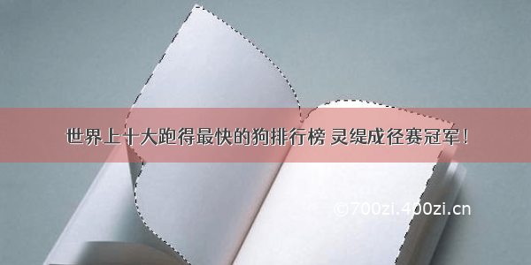 世界上十大跑得最快的狗排行榜 灵缇成径赛冠军！