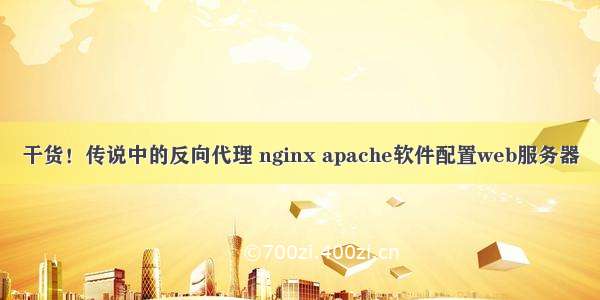 干货！传说中的反向代理 nginx apache软件配置web服务器