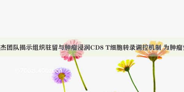 Immunity | 孙杰团队揭示组织驻留与肿瘤浸润CD8 T细胞转录调控机制 为肿瘤免疫治疗提供...