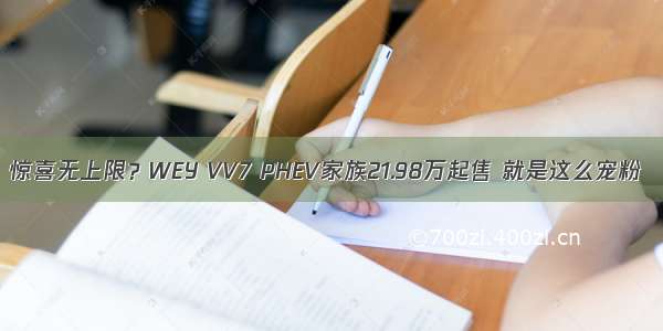 惊喜无上限？WEY VV7 PHEV家族21.98万起售 就是这么宠粉