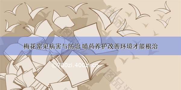 梅花常见病害与防治 喷药养护改善环境才能根治