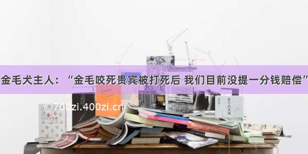 金毛犬主人：“金毛咬死贵宾被打死后 我们目前没提一分钱赔偿”