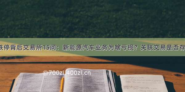 杉杉股份跌停背后交易所15问：新能源汽车业务为啥亏损？关联交易是否存利益输送？