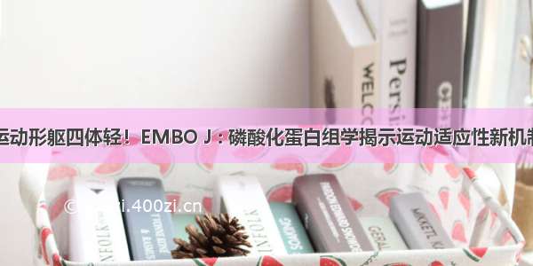 运动形躯四体轻！EMBO J : 磷酸化蛋白组学揭示运动适应性新机制