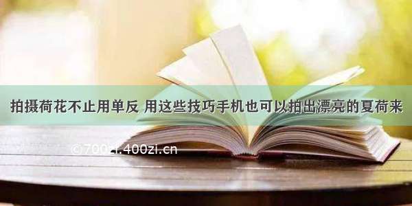 拍摄荷花不止用单反 用这些技巧手机也可以拍出漂亮的夏荷来