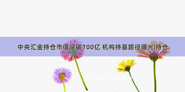 中央汇金持仓市值突破700亿 机构持基路径曝光|持仓