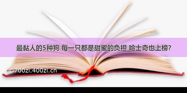 最黏人的5种狗 每一只都是甜蜜的负担 哈士奇也上榜？