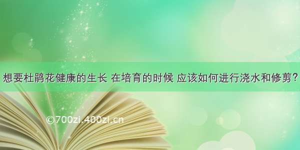 想要杜鹃花健康的生长 在培育的时候 应该如何进行浇水和修剪？