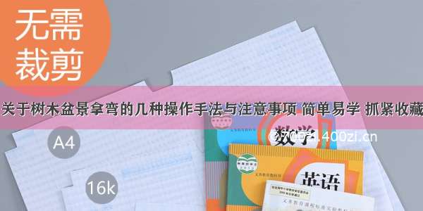 关于树木盆景拿弯的几种操作手法与注意事项 简单易学 抓紧收藏