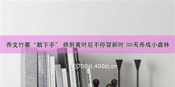 养文竹要“敢下手” 修剪黄叶后不停冒新叶 30天养成小森林