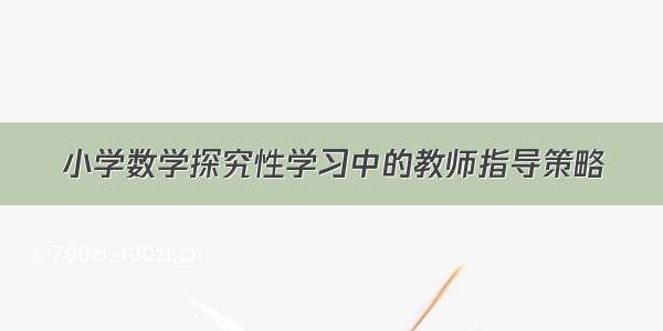 小学数学探究性学习中的教师指导策略