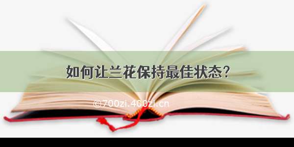 如何让兰花保持最佳状态？