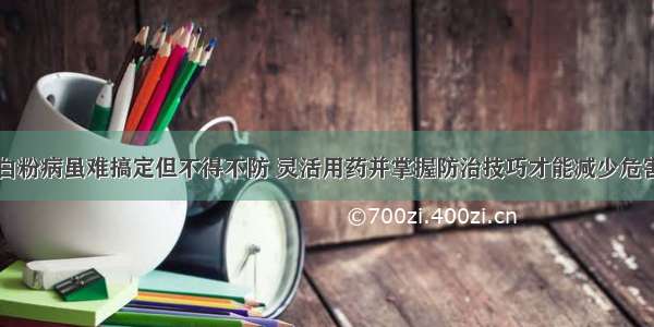 白粉病虽难搞定但不得不防 灵活用药并掌握防治技巧才能减少危害