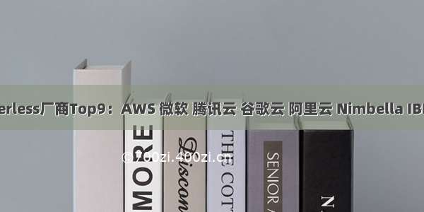 Serverless厂商Top9：AWS 微软 腾讯云 谷歌云 阿里云 Nimbella IBM C...