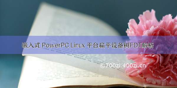 嵌入式 PowerPC Linux 平台扁平设备树FDT解析