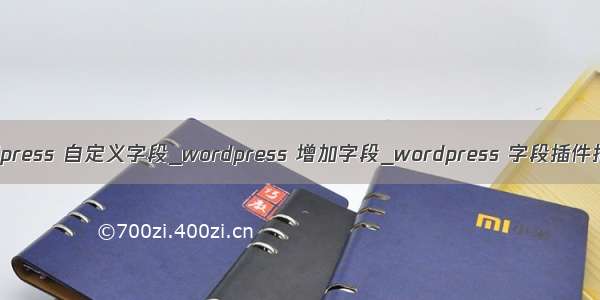 wordpress 自定义字段_wordpress 增加字段_wordpress 字段插件推荐