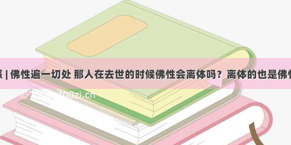 问道解惑 | 佛性遍一切处 那人在去世的时候佛性会离体吗？离体的也是佛性 尸体也