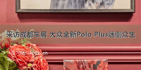 采访成都车展 大众全新Polo Plus迷倒众生